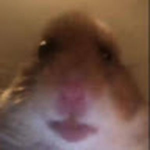 Meet your Posher, Evan